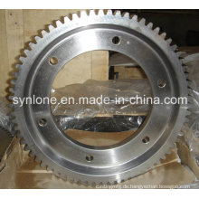 Schneckengetriebe nach Maß mit Stahl in Hebei, China